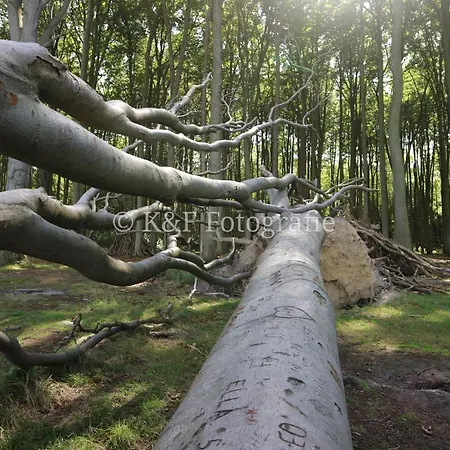 Apartment Ostseeblick Ostseebad Nienhagen