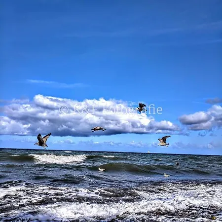 Ostseeblick