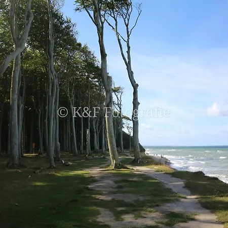 Ostseeblick Apartment *