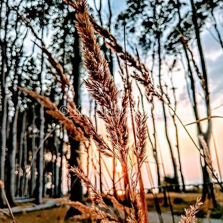 Ostseeblick Apartment Ostseebad Nienhagen