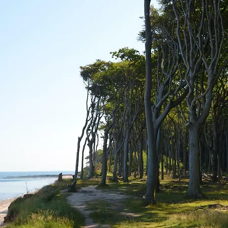 Ostseeblick Apartment Ostseebad Nienhagen