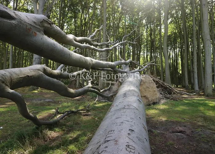 公寓 Ostseeblick 奥斯特巴特宁哈根