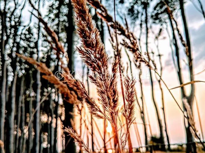 Ostseeblick 公寓 奥斯特巴特宁哈根