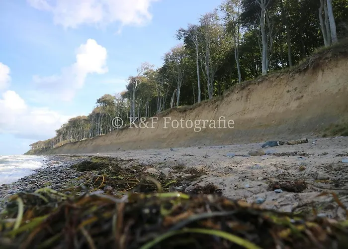 公寓 Ostseeblick 奥斯特巴特宁哈根