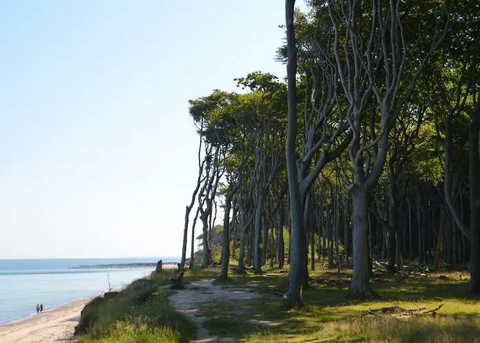 Ostseeblick 公寓 奥斯特巴特宁哈根
